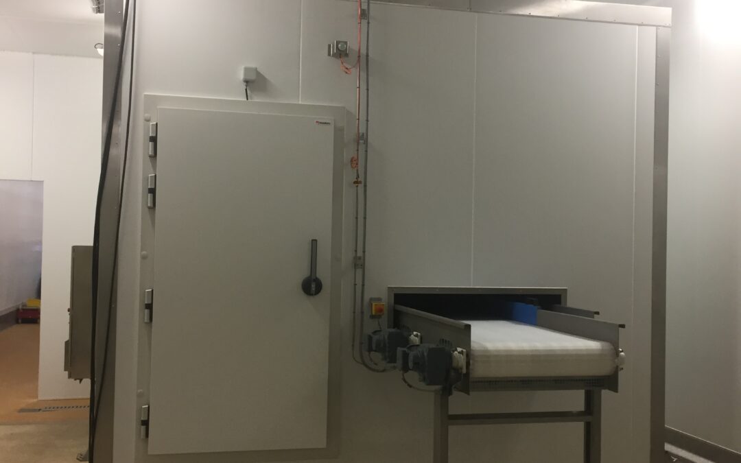 TUNNEL DE REFROIDISSEMENT VIANDE        DOUBLE FLUX  TYPE flow freeze / IQF
